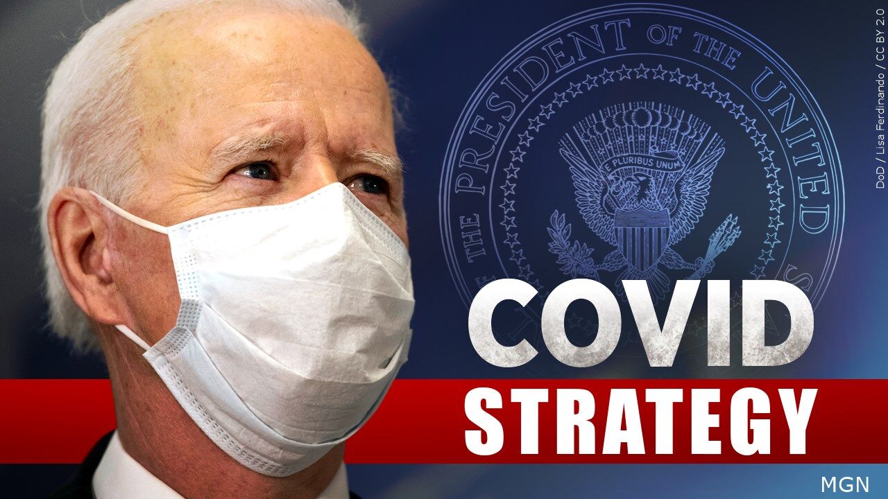 biden covid strategy.jpg